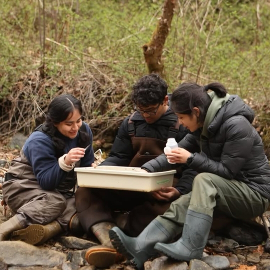 Students sitting on stones examining items in a bin